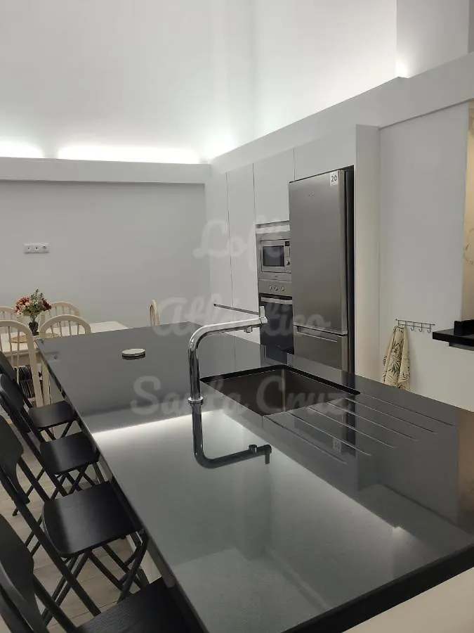 Loft Atlantico Santa Cruz Appartamento