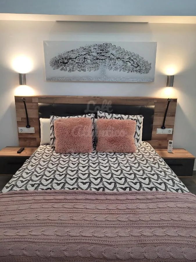 Loft Atlantico Santa Cruz Appartamento